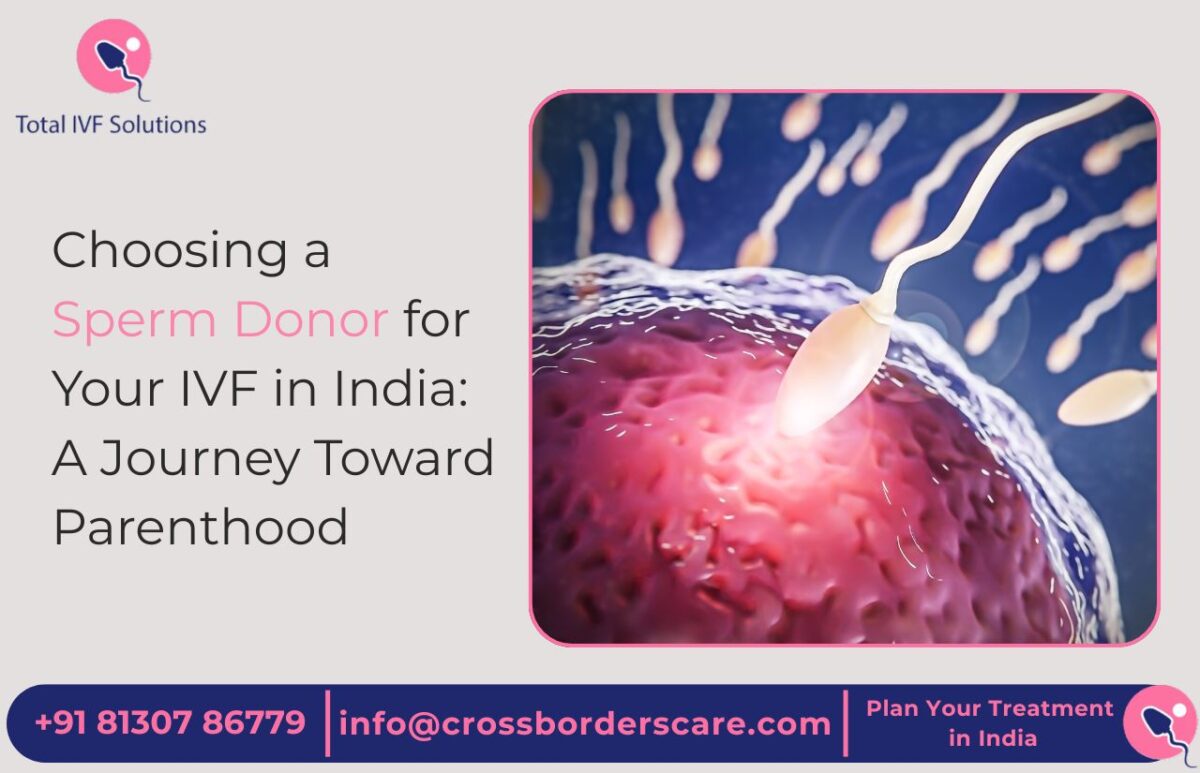 Sperm Donor for Your IVF in India